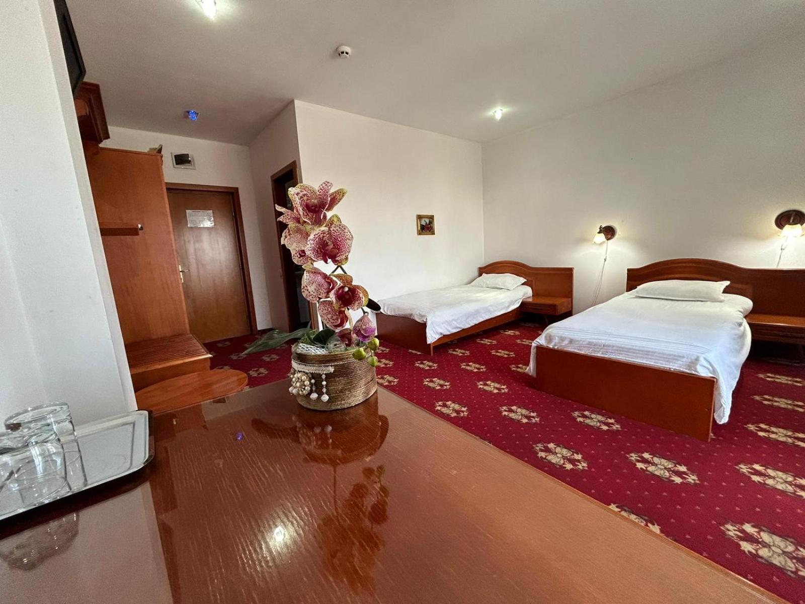 Hotel Coral Satu Mare Eksteriør bilde